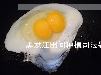 黑龙江田间种植司法鉴定中心 黑龙江田间种植司法鉴定中心