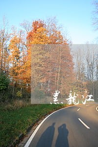 黑龙江疫情信用卡逾期 黑龙江疫情信用卡逾期