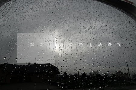 黑龙江省交通违法处罚 黑龙江省交通违法处罚
