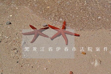 黑龙江省伊春市法院案件查询网 黑龙江省伊春市法院案件查询网