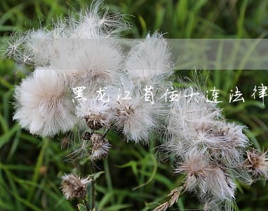 黑龙江省住大连法律援助 黑龙江省住大连法律援助