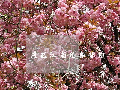 黑龙江省债务律师 黑龙江省债务律师