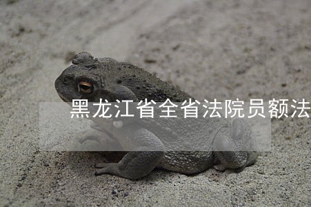 黑龙江省全省法院员额法官