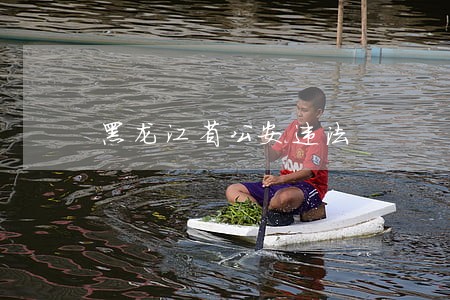 黑龙江省公安违法 黑龙江省公安违法