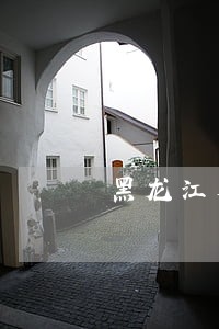 黑龙江省关于公房法律条文 黑龙江省关于公房法律条文