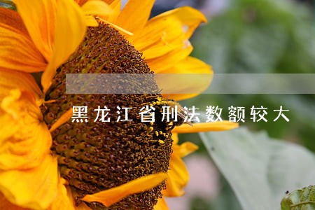黑龙江省刑法数额较大