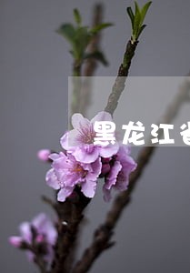黑龙江省取保候审律师