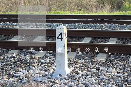 黑龙江省司法公众号 黑龙江省司法公众号