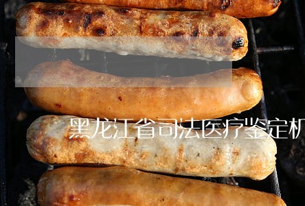 黑龙江省司法医疗鉴定机构 黑龙江省司法医疗鉴定机构
