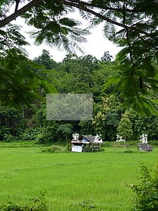 黑龙江省司法历年考试报考分数
