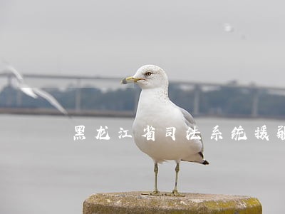黑龙江省司法系统援疆干部
