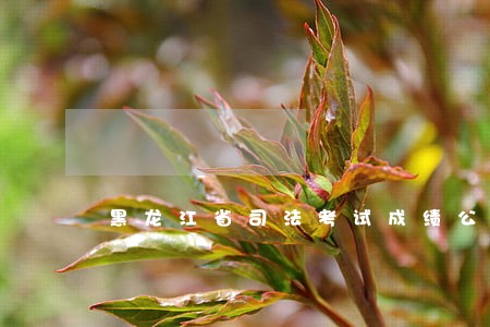 黑龙江省司法考试成绩公布时间 黑龙江省司法考试成绩公布时间