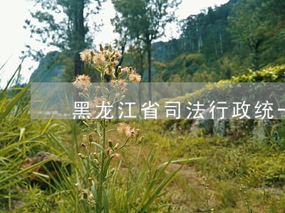 黑龙江省司法行政统一着装