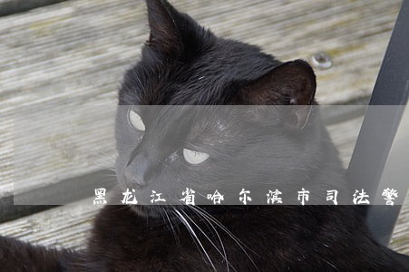 黑龙江省哈尔滨市司法警官学校 黑龙江省哈尔滨市司法警官学校