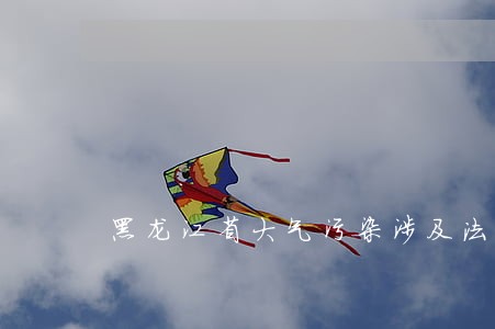 黑龙江省大气污染涉及法规条例 黑龙江省大气污染涉及法规条例