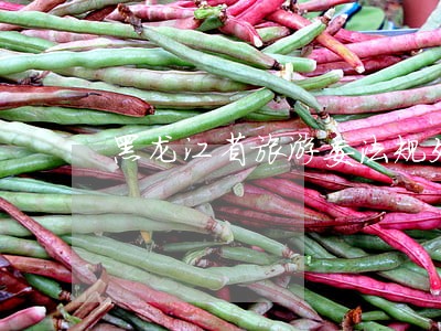 黑龙江省旅游委法规处调研 黑龙江省旅游委法规处调研