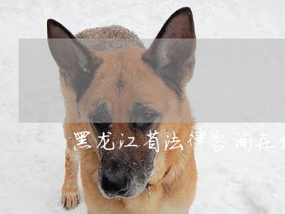 黑龙江省法律咨询在线咨询