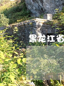 黑龙江省法院刑庭 黑龙江省法院刑庭