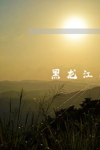 黑龙江省法院刘晗宇 黑龙江省法院刘晗宇