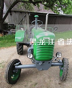 黑龙江省法院孙洪山