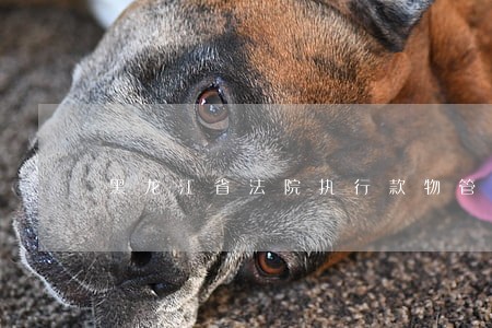 黑龙江省法院执行款物管理