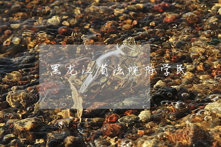 黑龙江省法院陈学民 黑龙江省法院陈学民