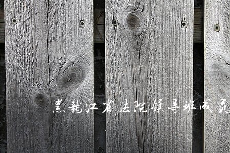 黑龙江省法院领导班成员 黑龙江省法院领导班成员