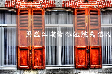黑龙江省海林法院失信人员查询