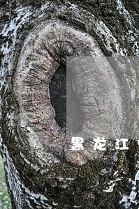 黑龙江省秦岭秦岭违违法建筑