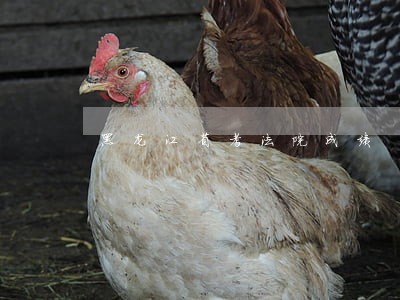 黑龙江省考法院成绩
