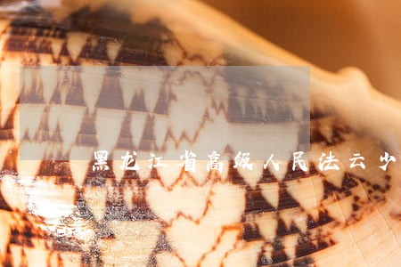 黑龙江省高级人民法云少华