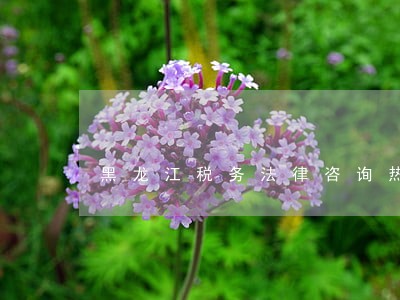 黑龙江税务法律咨询热线 黑龙江税务法律咨询热线