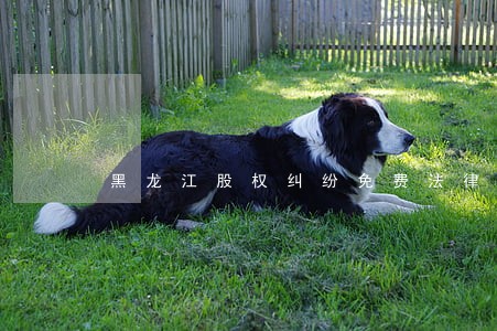 黑龙江股权纠纷免费法律咨询热线 黑龙江股权纠纷免费法律咨询热线