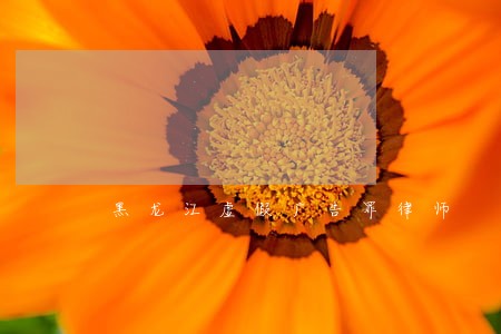 黑龙江虚假广告罪律师 黑龙江虚假广告罪律师