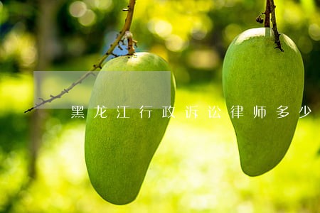 黑龙江行政诉讼律师多少钱 黑龙江行政诉讼律师多少钱