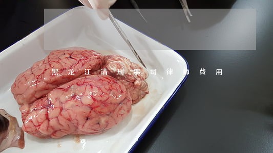 黑龙江请刑事司律师费用 黑龙江请刑事司律师费用
