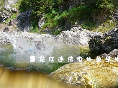 黑龙江违法电扑鱼举报电话 黑龙江违法电扑鱼举报电话