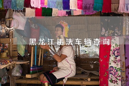 黑龙江违法车辆查询 黑龙江违法车辆查询