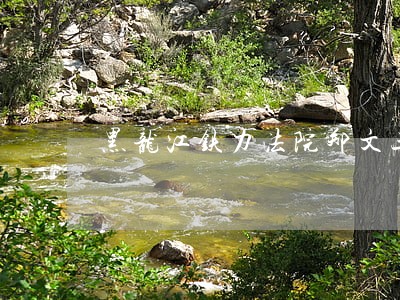 黑龙江铁力法院郑文三图 黑龙江铁力法院郑文三图