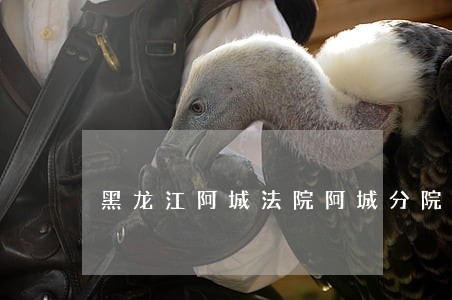 黑龙江阿城法院阿城分院直播