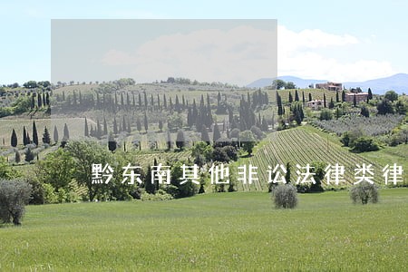 黔东南其他非讼法律类律师 黔东南其他非讼法律类律师