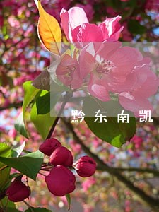 黔东南凯里债务纠纷律师咨询免费 黔东南凯里债务纠纷律师咨询免费