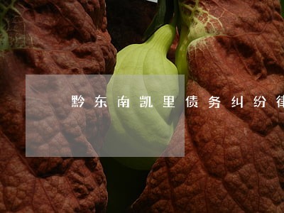 黔东南凯里债务纠纷律师选谁