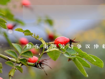 黔东南州劳动争议仲裁律师 黔东南州劳动争议仲裁律师