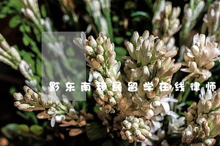 黔东南移民留学在线律师 黔东南移民留学在线律师