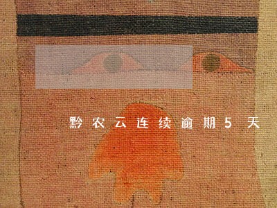 黔农云连续逾期5天 黔农云连续逾期5天