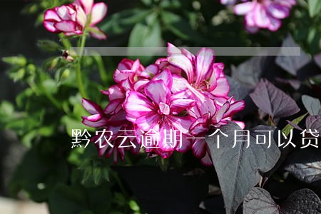 黔农云逾期一个月可以贷款吗 黔农云逾期一个月可以贷款吗