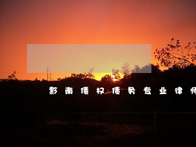 黔南债权债务专业律师哪家可靠 黔南债权债务专业律师哪家可靠
