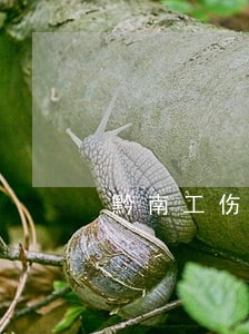 黔南工伤保险待遇纠纷律师 黔南工伤保险待遇纠纷律师