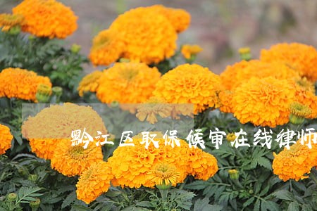 黔江区取保候审在线律师